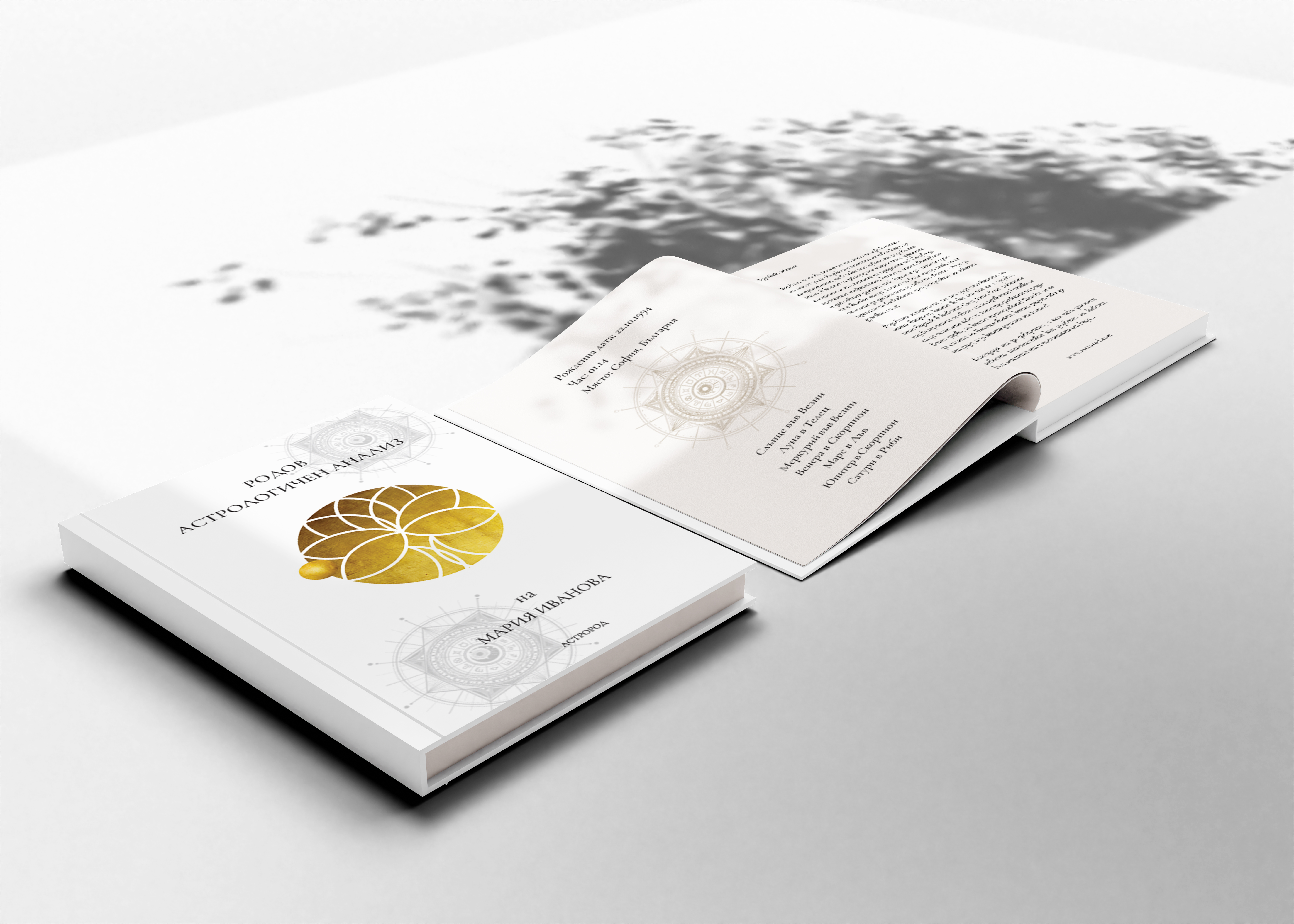 Родов анализ книга